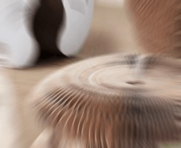 Jucăria Magică pentru Pisici